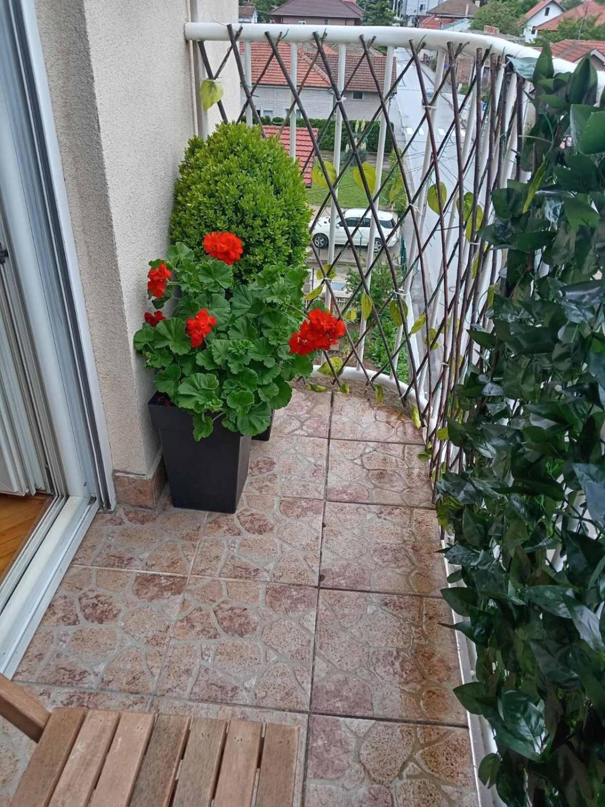 Apartman Centar Požarevac Buitenkant foto